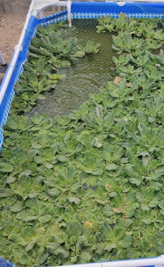 WhatsApp Image 2025-05-27 at 16.04.18 (1)