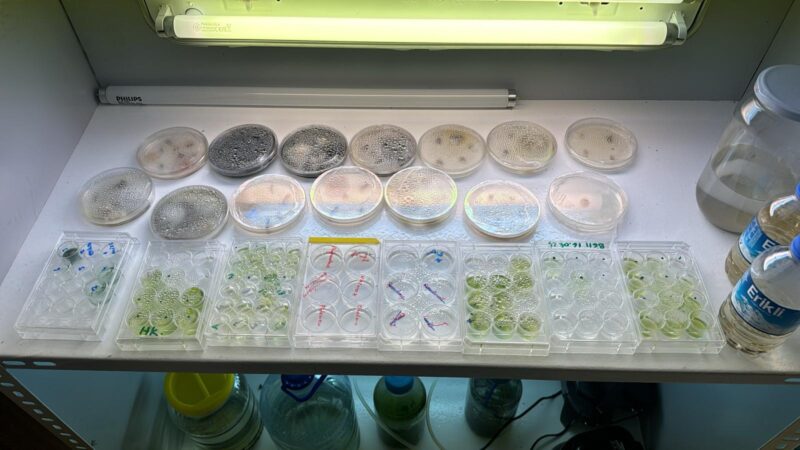 WhatsApp Image 2025-05-27 at 16.04.18