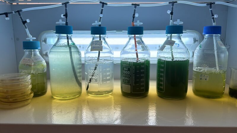 WhatsApp Image 2025-05-27 at 16.04.21