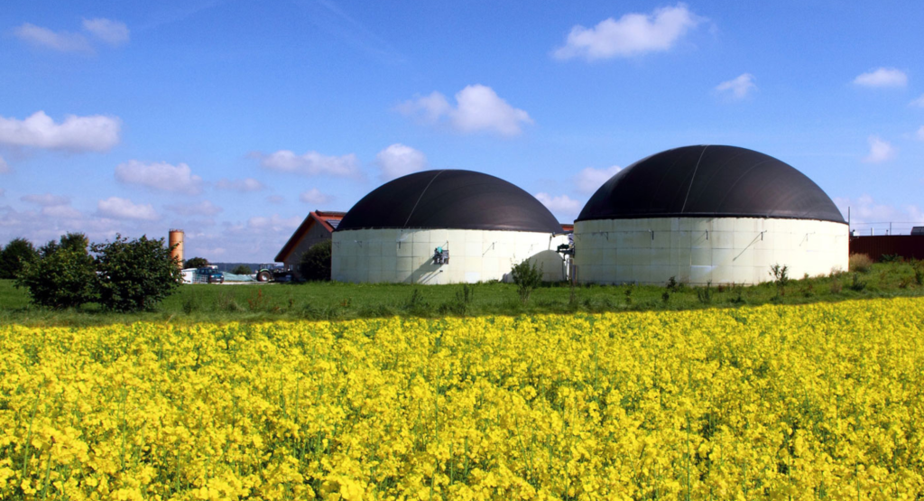 Visual - Several biogas plants in a yellow flowers field.