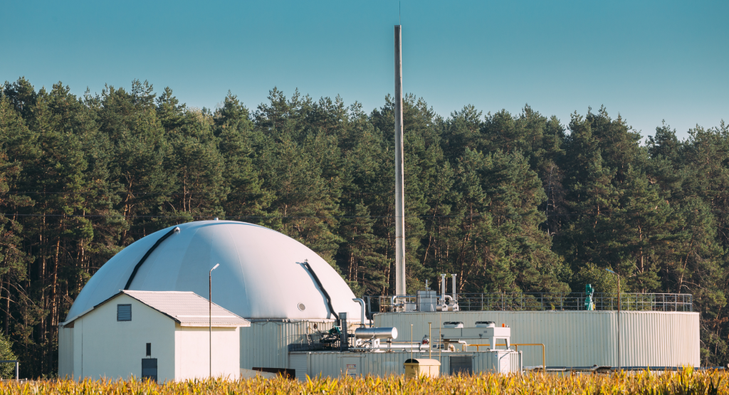 Graphic - A biogas plant at the border of a forest.