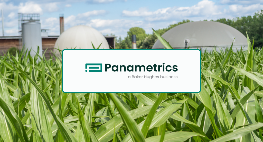 Banner for Panametrics's article about how renewable natural gas waste can be turned into green energy.