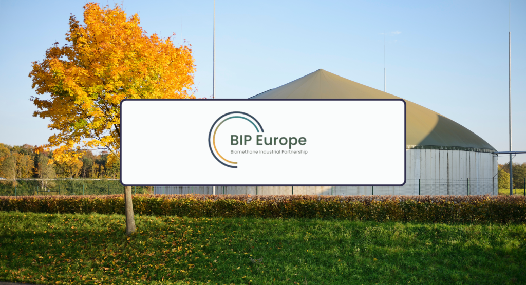 Graphic - Banner for BIP's press release about their new report.