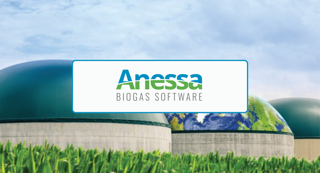 Graphic - Banner for Anessa's article.