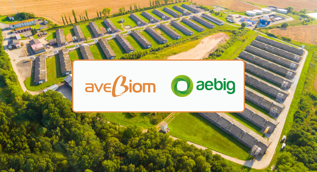 Graphic - Banner for AVEBIOM and AEBIG's press release about the benefits of biomethane in Spain.