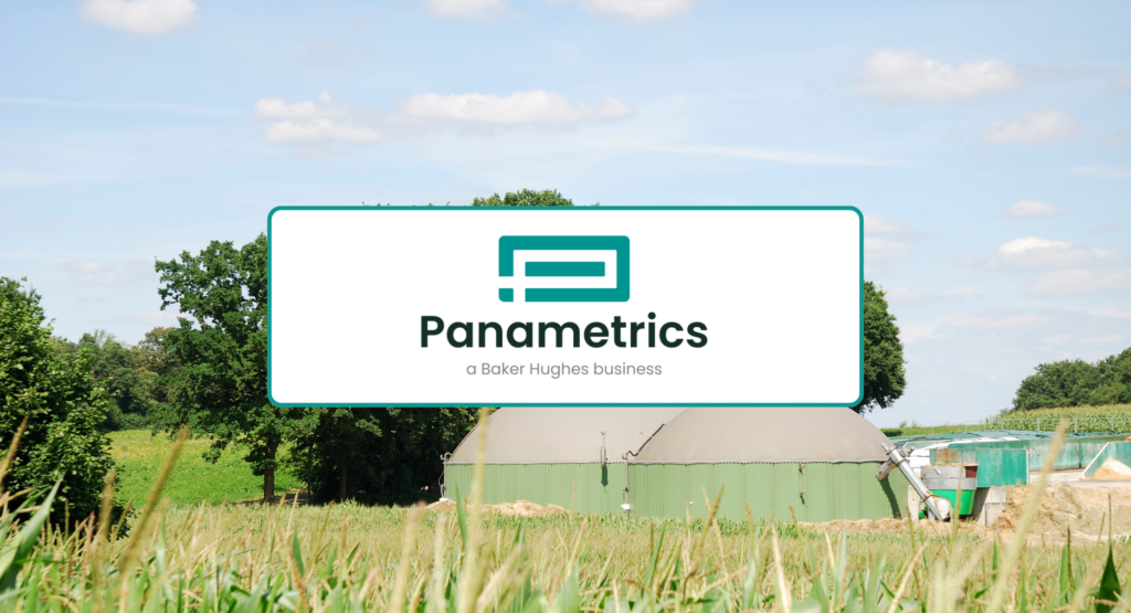 Picture - Banner for Panametrics' article about RNG processing.
