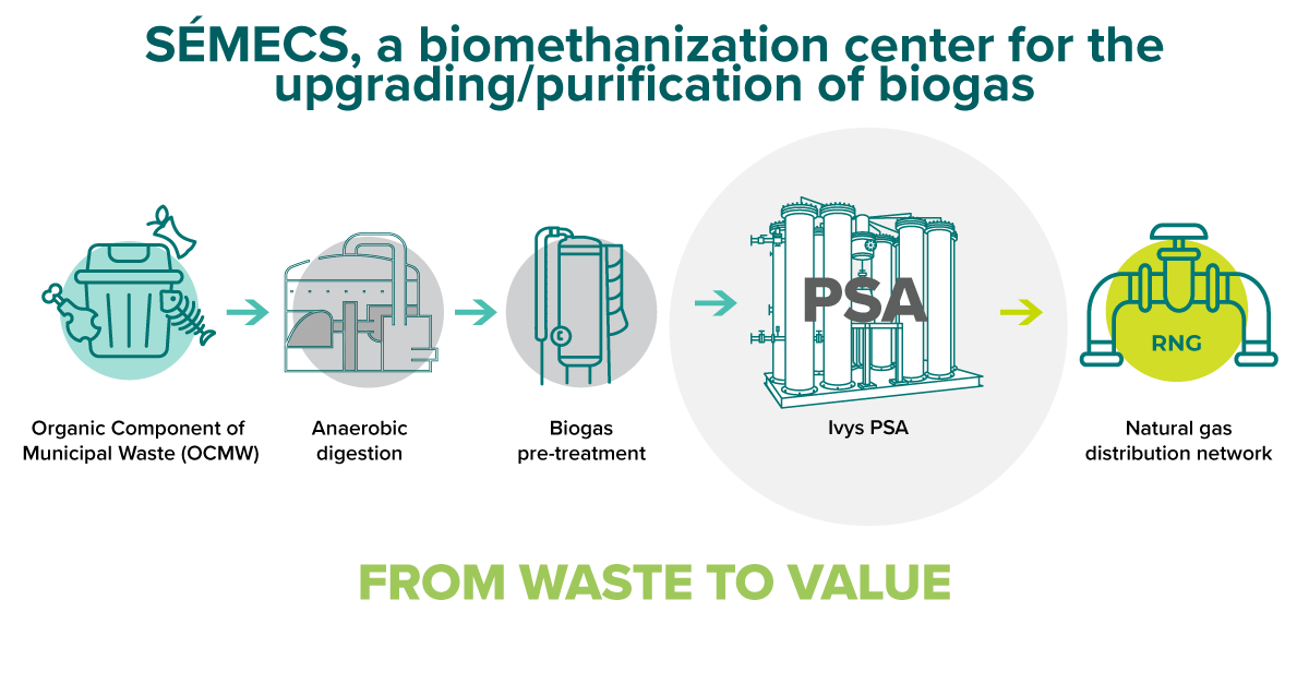 Graphic - Ivys' diagram.