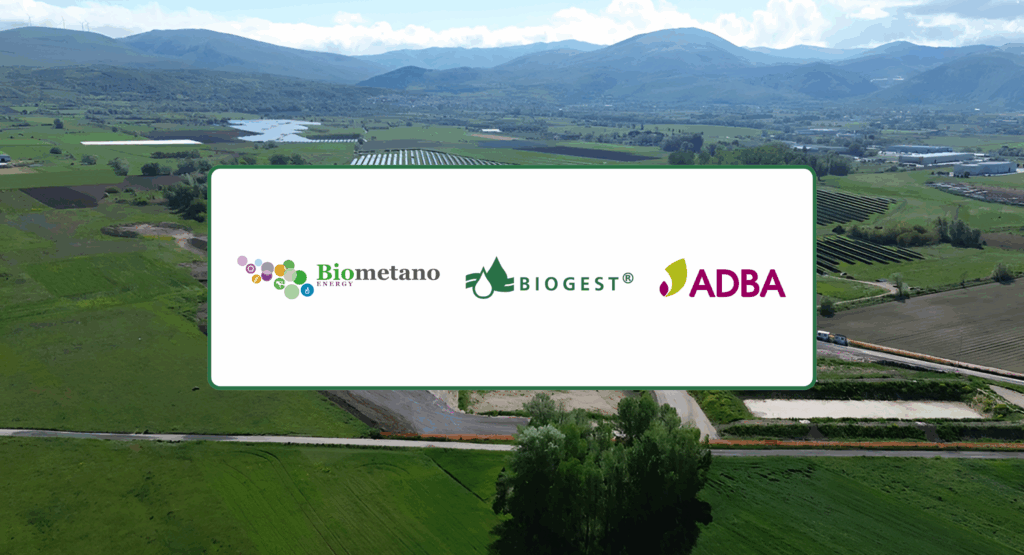 Picture - Banner for BIOGEST's press release.