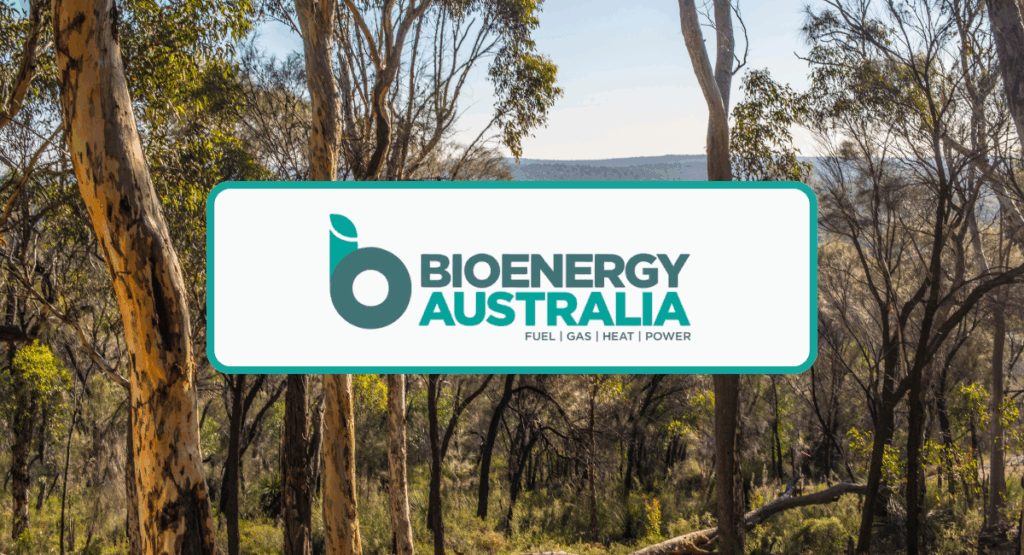 Picture - Banner for Bioenergy Australia's report.