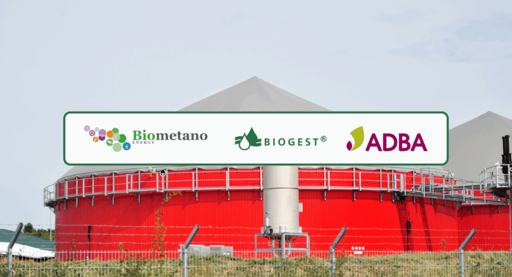 Picture - Banner for BIOGEST's press release.