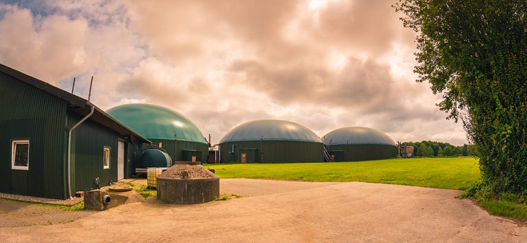 BENELUX Biogas Market