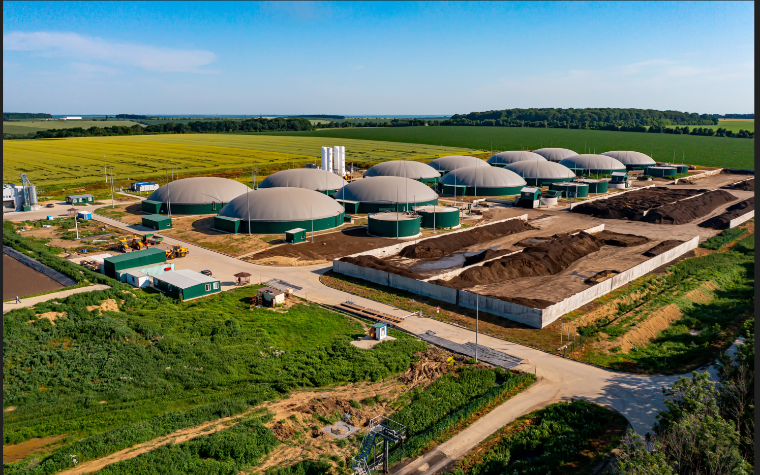 Indian Biogas Market