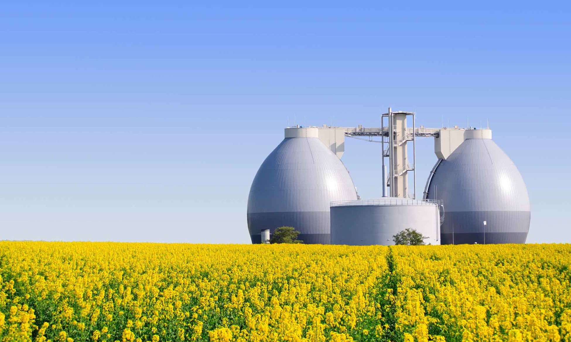 German Biogas Market